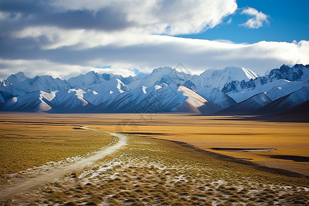 美丽的雪山和草原图片