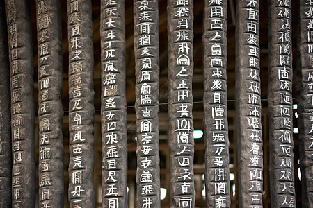 字体设计中国历史甲骨文背景