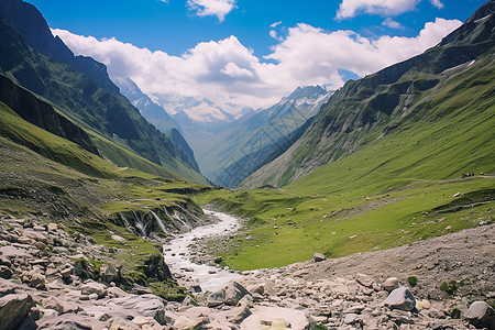 清澈溪水幽深的山谷背景