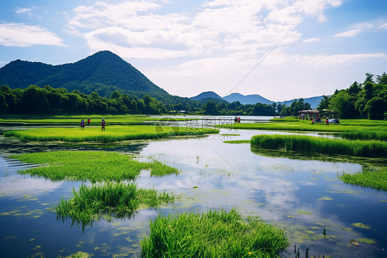 腾冲北海湿地图片