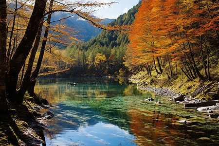 秋天的湖边和风景图片
