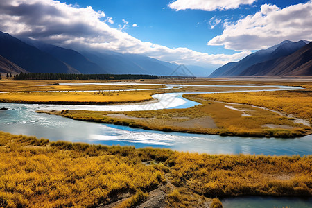 河流和两岸草地风景图片