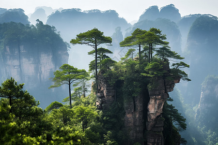 自然风景区图片