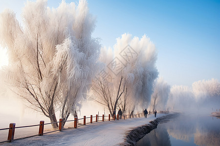 冬天下雪后的道路图片