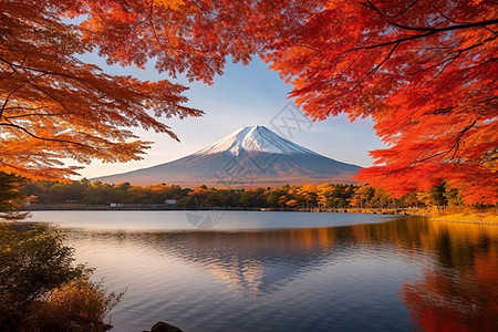 枫叶风景山水相连的迷人景色背景