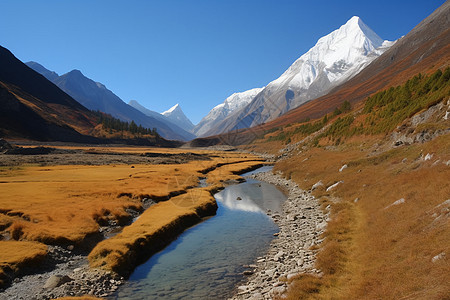 远处的雪山和河流图片