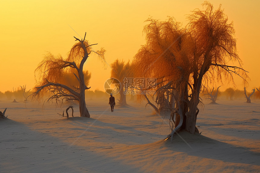 沙漠中的沙尘景观图片