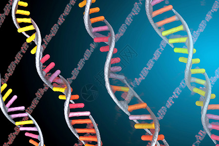脱氧核糖核酸DNA链图片