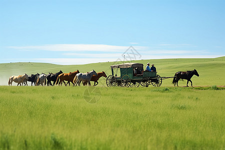 中国内蒙古传统交通工具马车图片