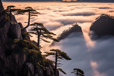 黄山迎客松日落黄山图片素材