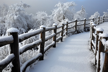 雪场图片