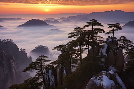 山脉中的松树图片