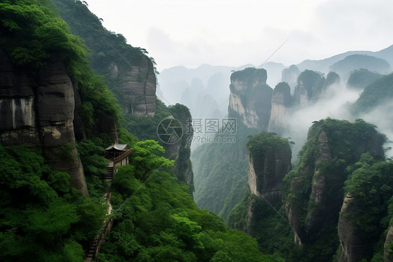 雨雾峡谷图片