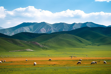 草原远山羊群背景图片