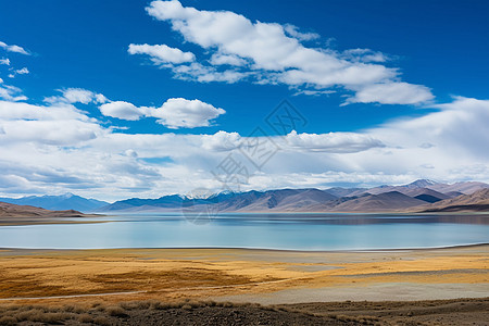 阿里地区的湖泊图片