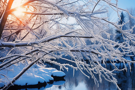 雾凇雪景景观图片