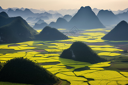 油菜花田园图片