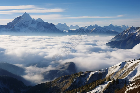 云海中的雪山风景图片