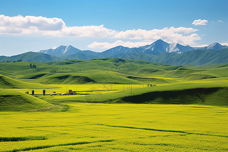 大自然草原大自然景色高清图片