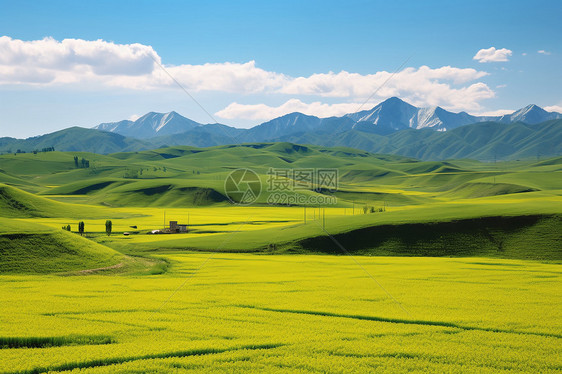 大自然草原图片