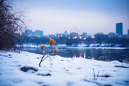 冬季郊外雪景城市的景观比赛背景