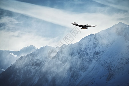 阿拉斯加自驾鹰飞越阿拉斯加山脉插画