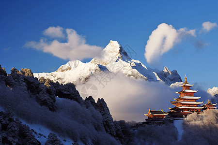 香格里拉梅里雪山的景观背景图片
