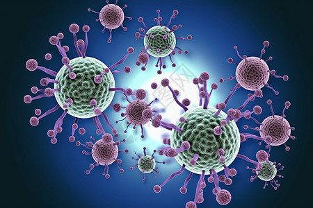 病毒细胞的繁殖过程图片