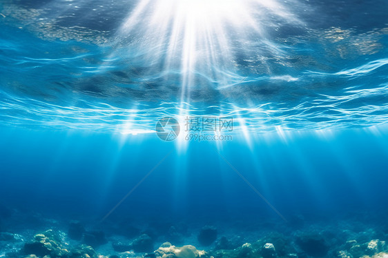 明亮的水底世界图片