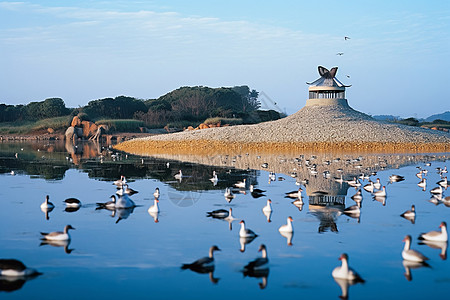 北戴河鸽子窝自然景观背景