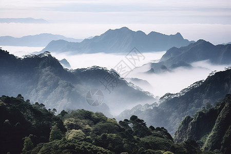 美丽的高峰风景图片