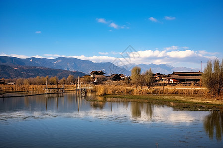 湿地公园的美丽风景图片