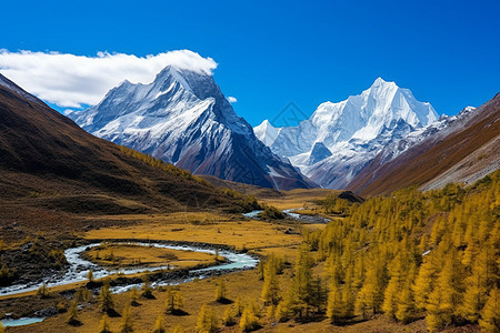 雪山下的河流森林景观图片