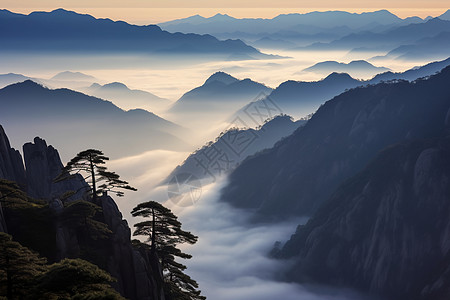 黄山怪石黄山美景背景