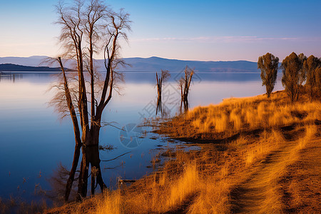 美丽的秋日湖景图片