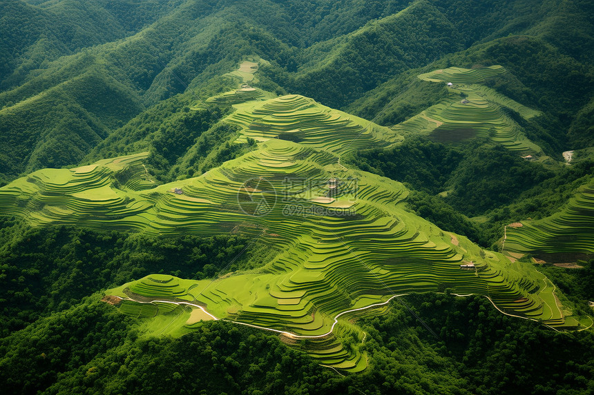 山野梯田图片