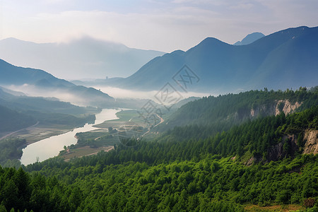 树木丛生的山间景色图片