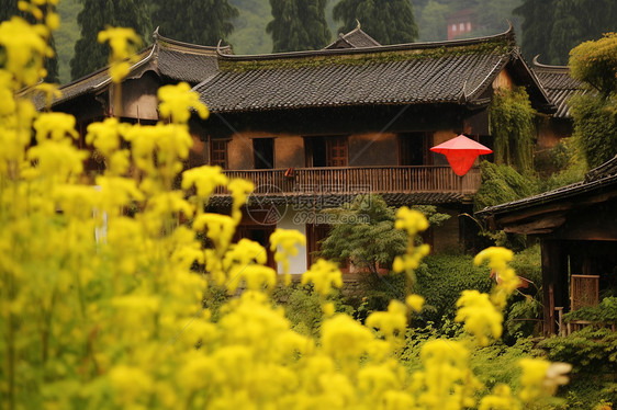 油菜花田图片