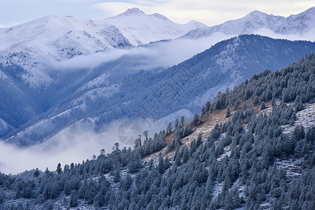 白雪皑皑的山峰图片