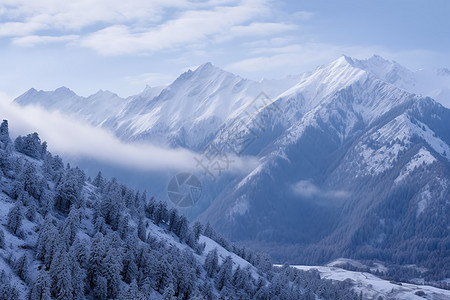 冬日里的雪峰图片