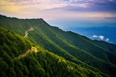 森林风景区图片