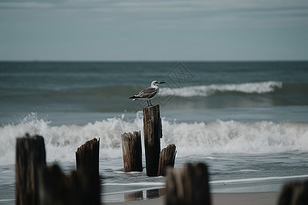 汹涌澎湃的海浪景观背景图片