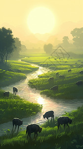 夏季稻田中放牧的插图图片