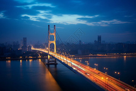 夜晚的卢浦大桥景观背景