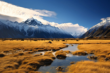 库克山秋天的风景图片