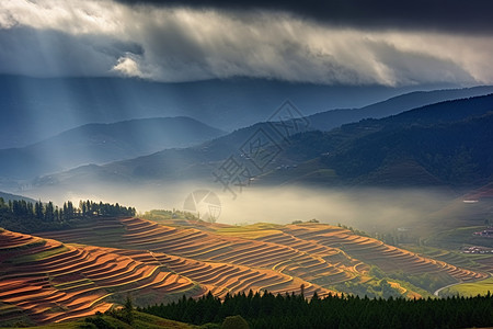 山间的梯田图片