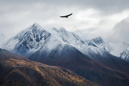 雪落在山峰上图片