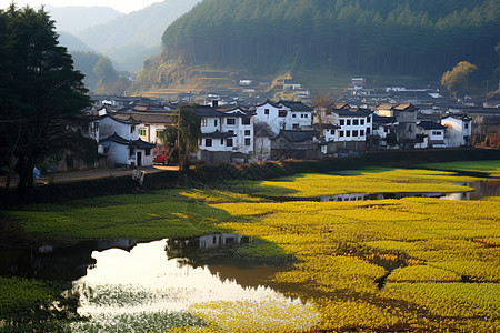 优美的乡村景色图片