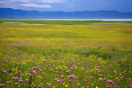新疆美景新疆伊犁自然风光背景