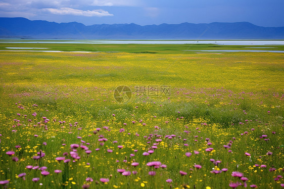 新疆伊犁自然风光图片